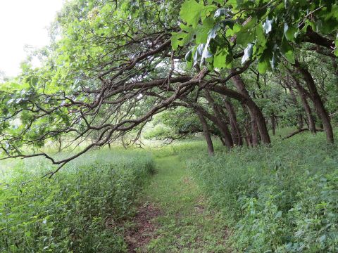 The One Place In Nebraska That Looks Like Something From Middle Earth