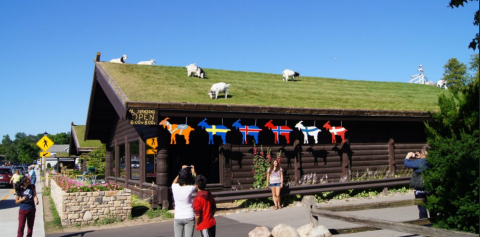 A Quirky Restaurant In Wisconsin, Al Johnson’s Is Known For The Adorable Goats On The Roof