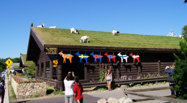 A Quirky Restaurant In Wisconsin, Al Johnson’s Is Known For The Adorable Goats On The Roof