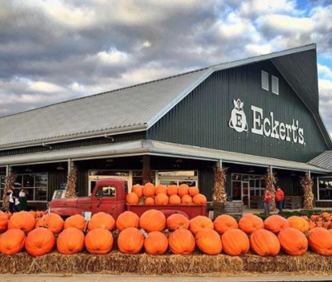 These 10 Charming Pumpkin Patches In Missouri Are Picture Perfect For A Fall Day