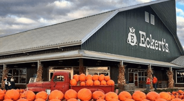 These 10 Charming Pumpkin Patches In Missouri Are Picture Perfect For A Fall Day