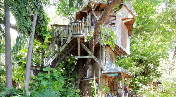 You’ll Never Forget Your Stay At This Enchanting Florida Tree House