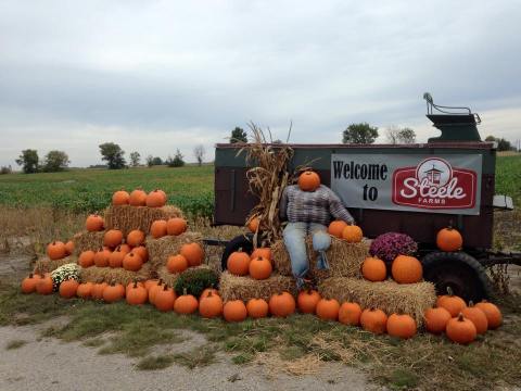 These 10 Charming Pumpkin Patches In Indiana Are Picture Perfect For A Fall Day