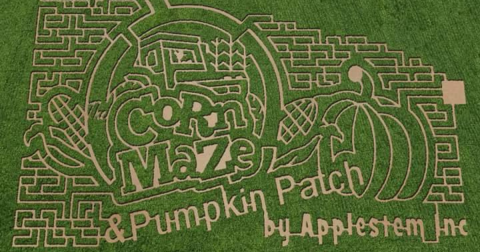 Get Lost In These 6 Awesome Corn Mazes In Montana This Fall
