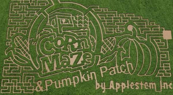 Get Lost In These 6 Awesome Corn Mazes In Montana This Fall