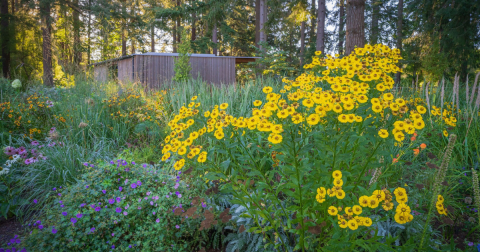 The Beautiful Secret Garden In Portland That's Like A Dream
