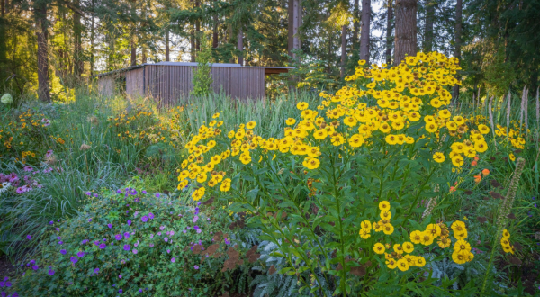 The Beautiful Secret Garden In Portland That’s Like A Dream