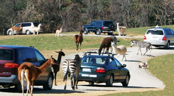 The Unique Park Everyone In Virginia Should Visit At Least Once