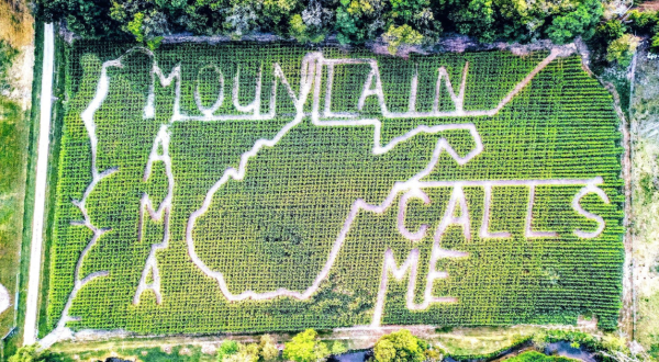 Get Lost In These 8 Awesome Corn Mazes In West Virginia This Fall