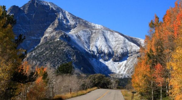 8 Country Roads In Nevada That Are Pure Bliss In The Fall