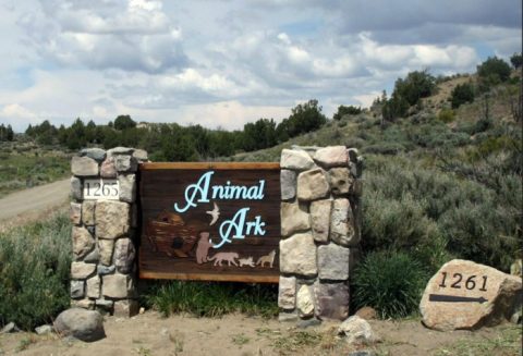 The Unique Park Everyone In Nevada Should Visit At Least Once
