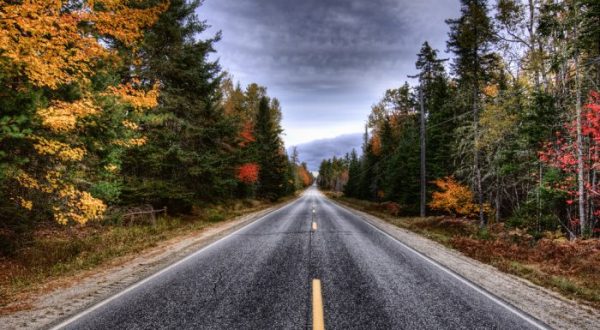 9 Country Roads In Maine That Are Pure Bliss In The Fall