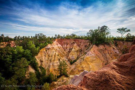 The Unrivaled Canyon Hike In Mississippi Everyone Should Take At Least Once
