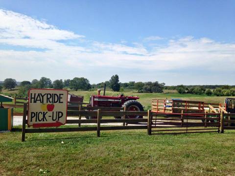 10 Charming Hayrides You'll Want To Take In Iowa This Fall