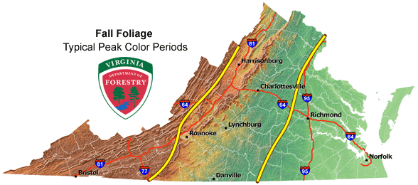This Map Will Show You When and Where To View Fall Foliage In Virginia