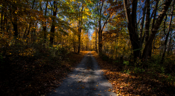 This Haunted Hike In New Jersey Will Send You Running For The Hills