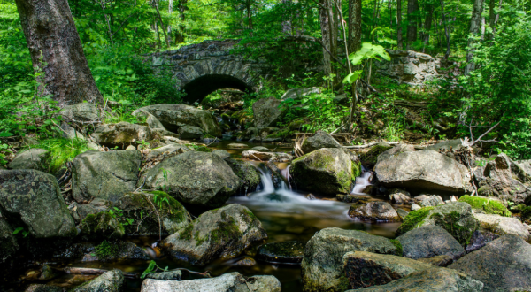 The Quietest Spot In New Jersey Will Relax Your Soul
