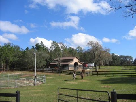 7 Charming Farms Where You Can Spend The Night In Florida