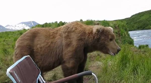 Only In Alaska Can You Camp With Grizzly Bears And Live To Tell About It