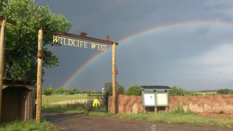 The Unique Park Everyone In New Mexico Should Visit At Least Once