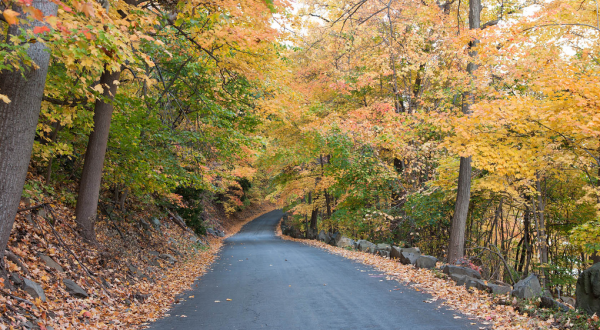 This Country Road In New Jersey Is Pure Bliss In The Fall
