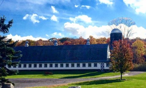 There’s A Restaurant On This Remote New Jersey Farm You’ll Want To Visit