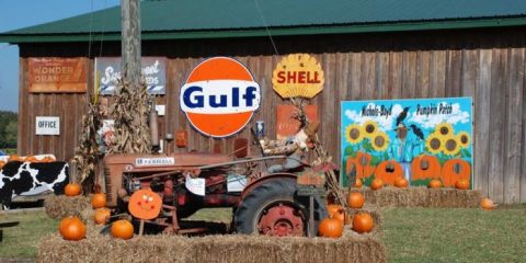 These 9 Charming Pumpkin Patches In Mississippi Are Picture Perfect For A Fall Day