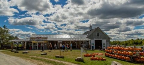 These 11 Charming Pumpkin Patches In Maine Are Picture Perfect For A Fall Day