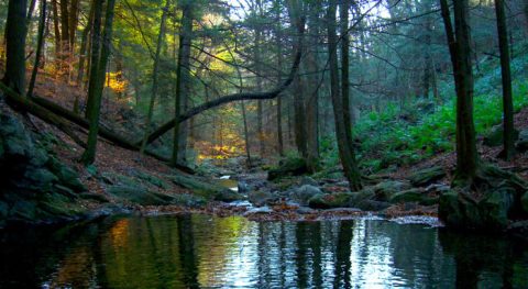 The Breathtaking Ravine Everyone In Massachusetts Should Hike At Least Once