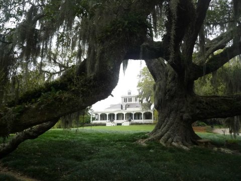 There’s A Restaurant On This Remote Louisiana Estate You’ll Want To Visit