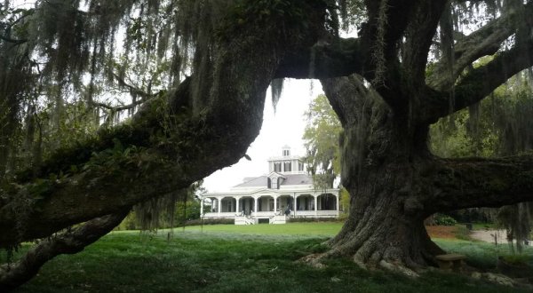 There’s A Restaurant On This Remote Louisiana Estate You’ll Want To Visit