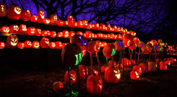 A Truly Epic Jack O’Lantern Trail Is Coming To New Jersey And You Need To See It