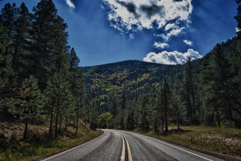 11 Country Roads In New Mexico That Are Pure Bliss In The Fall