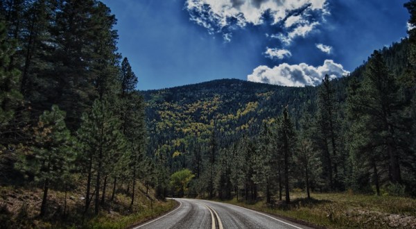 11 Country Roads In New Mexico That Are Pure Bliss In The Fall