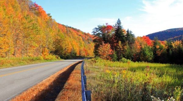7 Country Roads In West Virginia That Are Pure Bliss In The Fall