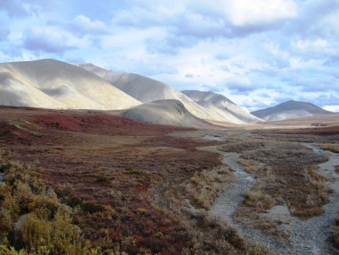 There's An Arctic Desert Hiding At This Underrated National Park In Alaska