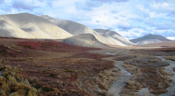 There’s An Arctic Desert Hiding At This Underrated National Park In Alaska