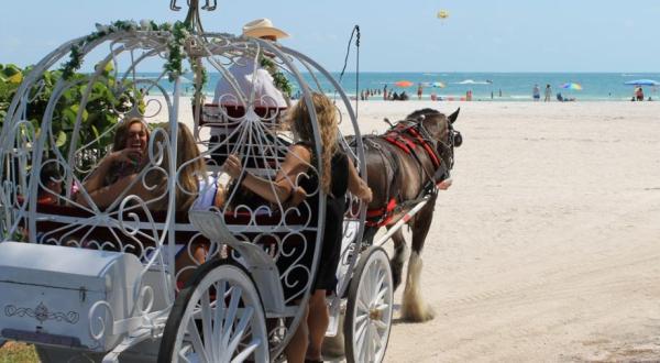 These 8 Horse Drawn Carriage Rides In Florida Are Pure Magic