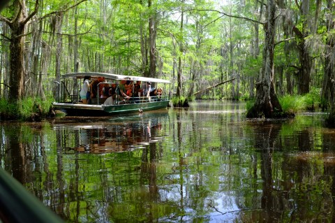 The Story Behind This Legendary Swamp Monster In Louisiana Will Give You The Chills