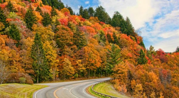 7 Country Roads In Tennessee That Are Pure Bliss In The Fall