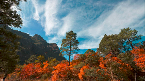 The 1-Mile Canyon Hike In Texas With Stunning Fall Foliage
