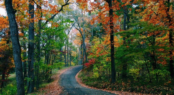 8 Country Roads In Texas That Are Pure Bliss In The Fall