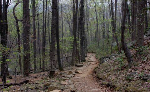 This Might Be The Most Exquisite Hike In All Of Virginia