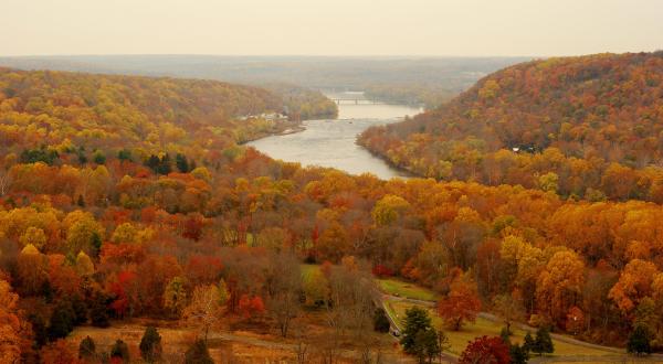 The Top 10 Spots To View Fall Foliage In New Jersey Before It’s Gone