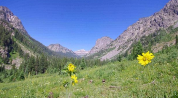 A Hike Through Wyoming’s Death Canyon Is Downright Heavenly