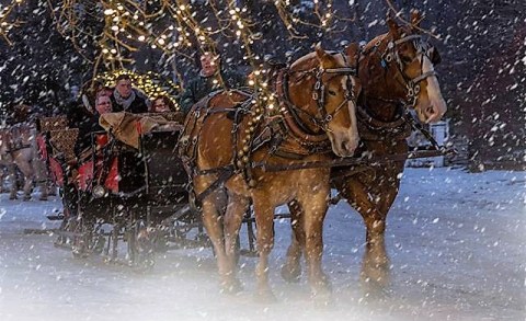 This Sleigh Ride Chocolate Tour In New Hampshire Is What Dreams Are Made Of