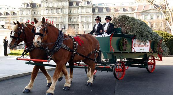 These 7 Horse Drawn Carriage Rides In Virginia Are Pure Magic