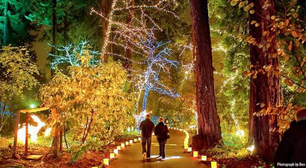 6 Christmas Light Displays In And Near Portland That Are Pure Magic