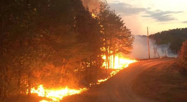 Wildfires Are Raging Through Alabama And Are Devastating Parts Of The State