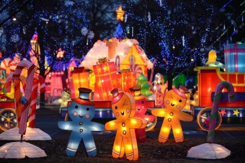 6 Christmas Light Displays In Northern California That Are Pure Magic